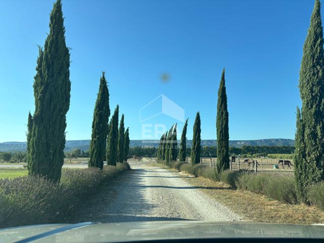 A vendre, Domaine équestre clé en main entre Alpilles et Lubéron