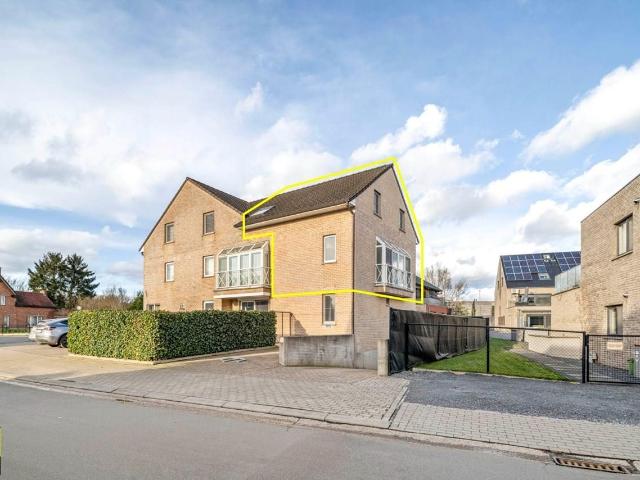 à vendre Duplex Bilzen Appelveldstraat