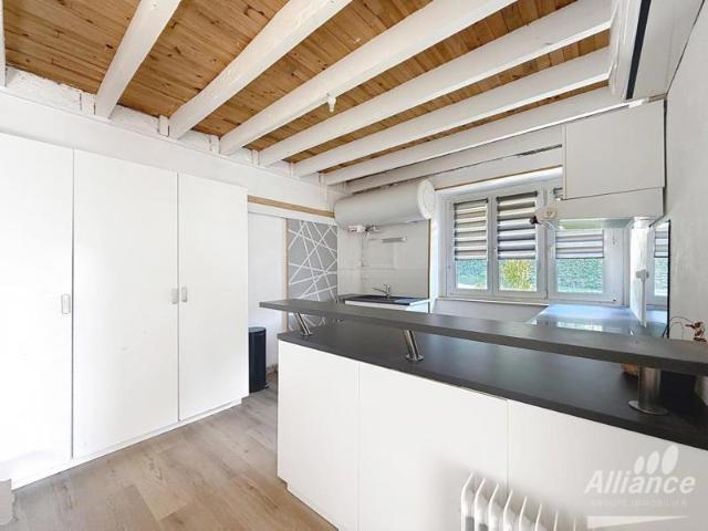 A VENDRE DUPLEX DE CHARME EN CAMPAGNE PROCHE DE MONTBELIARD