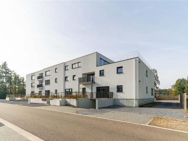 à vendre Duplex Lommel Mezenstraat