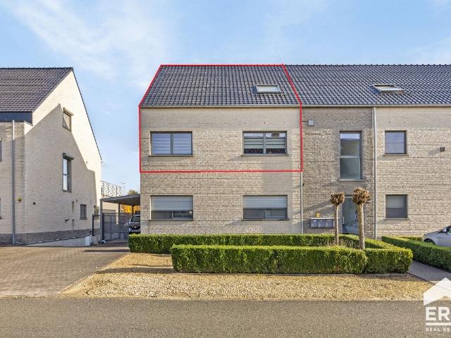 à vendre Duplex Lommel Hensendriesweg