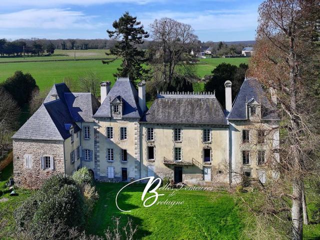 A vendre élégant château proche de la Rance et de Dinan 511m² Dinan