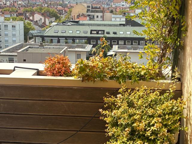 A VENDRE en viager 3P 85 m2 Toit terrasse Hespérides Lyon 6