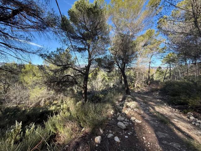 A VENDRE EN EXCLUSIVITE TERRAIN AVEC MAISONETTE L ESCARENE