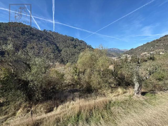 A VENDRE EN EXCLUSIVITE TERRAIN QUARTIER LA VIGNA L ESCARENE