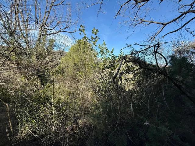 A vendre en exclusivité terrain 690m2 L'Escarène