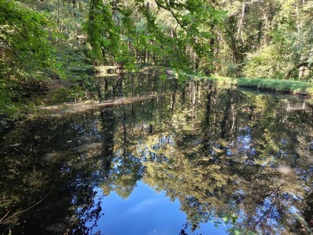 À vendre – Ensemble d’étangs avec chalet à Soppe le Haut