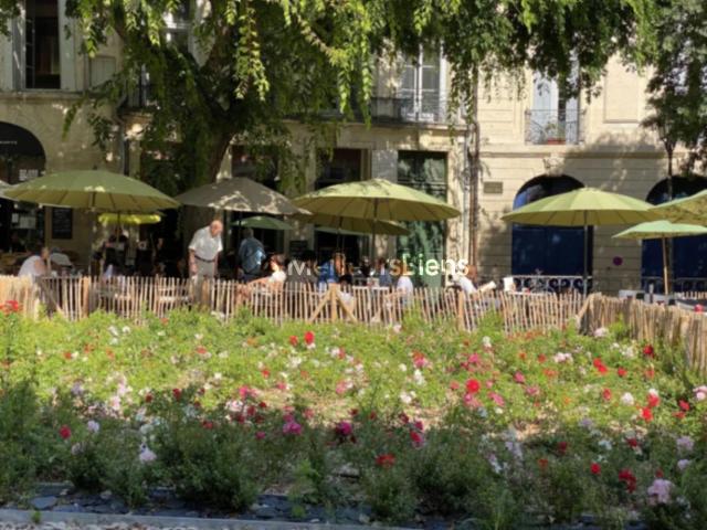 À vendre: Ensemble immobilier rare sur la Prestigieuse Place. 95m² Montpellier