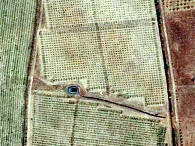 A vendre ferme 14 Hectares brachoua
