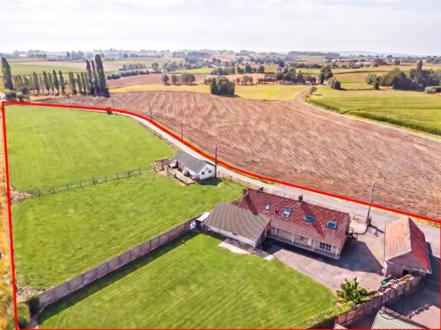 à vendre Ferme Anzegem Hulstweg