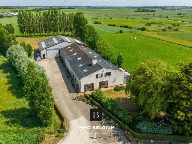 à vendre Ferme De Haan Sluizestraat