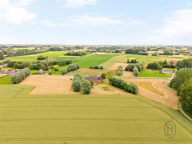 à vendre Ferme Ellezelles Anaise