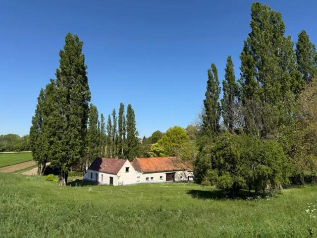 à vendre Ferme Mont Saint Aubert Rue de la Folie