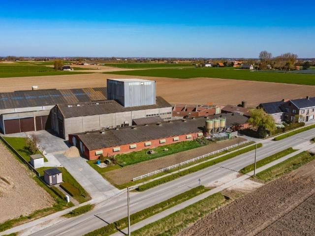 à vendre Ferme Poperinge Douvieweg