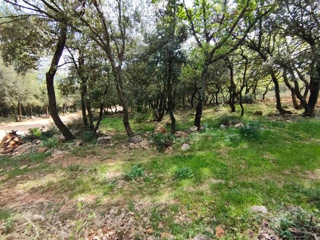 A vendre GAREOULT joli terrain de loisirs de 9261m2 boisé et accessible