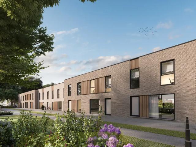 à vendre Immeuble de rapport Renaix Ninovestraat