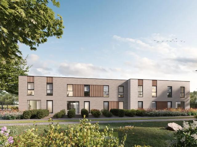 à vendre Immeuble de rapport Renaix Ninovestraat