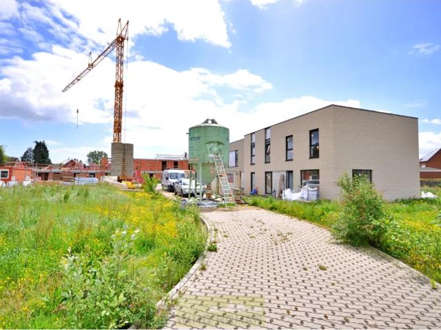 à vendre Immeuble de rapport Renaix Ninovestraat
