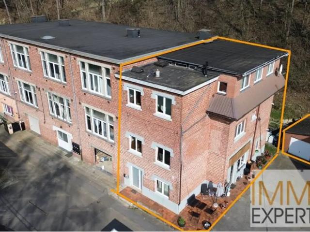 à vendre Immeuble de rapport Seilles Rue de la Caserne