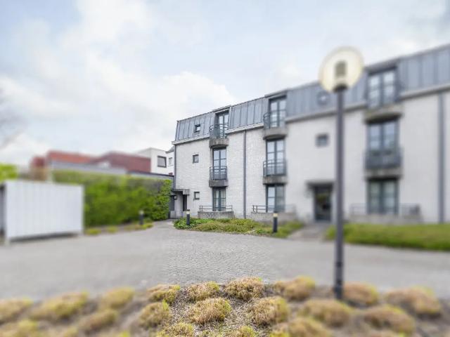 à vendre Immeuble de rapport Zwijnaarde Jan Sonnevillestraat