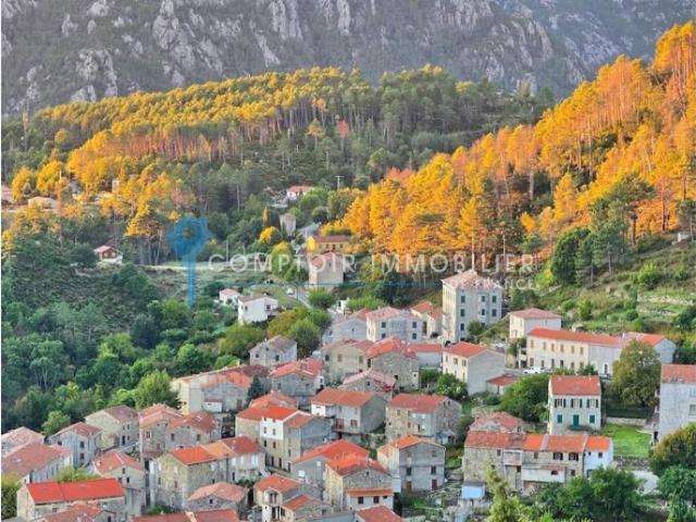 A VENDRE JOLIE MAISON DE VILLAGE A GHISONI