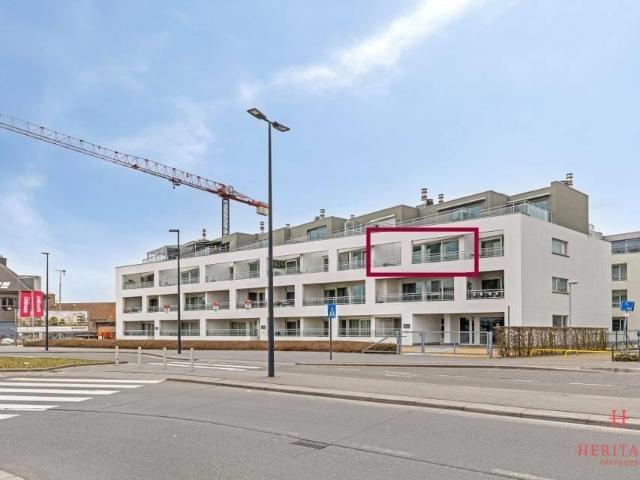 à vendre Kot Waregem Westerlaan