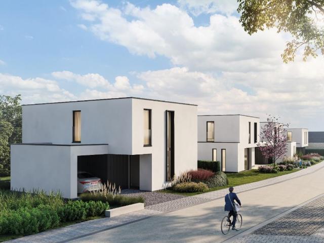 à vendre Maison Anzegem Sint Elooistraat