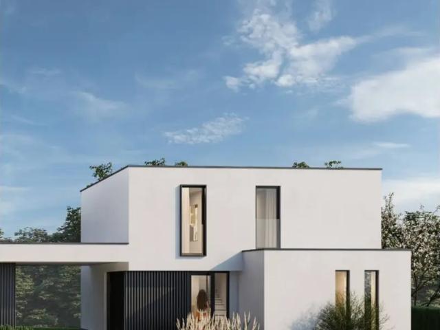 à vendre Maison Anzegem Sint Elooistraat
