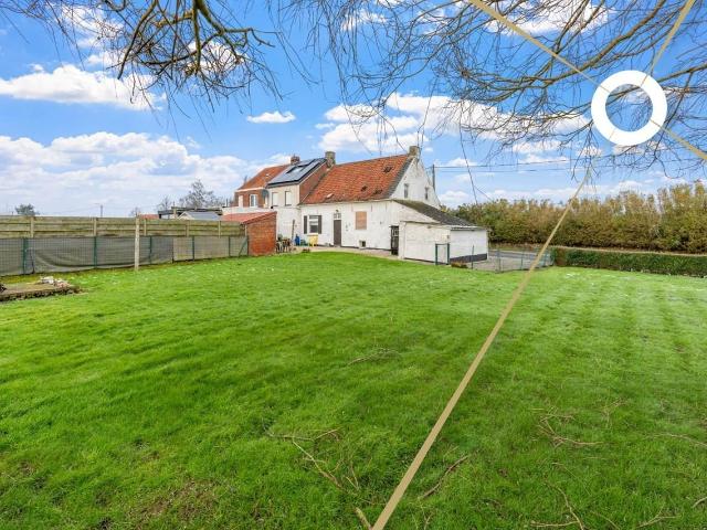 à vendre Maison Alveringem Zuidstraat