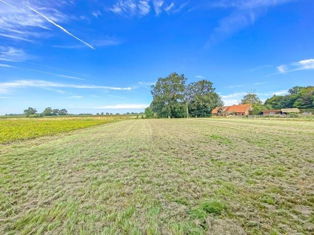 à vendre Maison Alveringem Rozendaalstraat