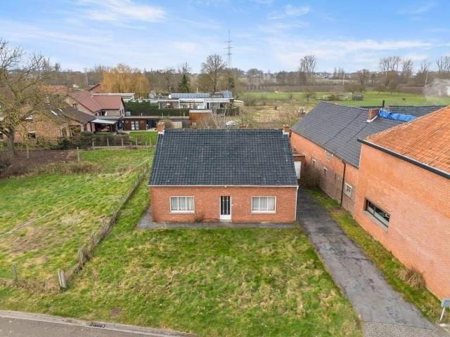 à vendre Maison Alken Aardbruggenstraat