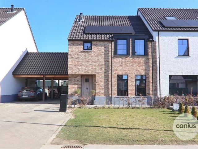 à vendre Maison Borgloon Sprolantstraat