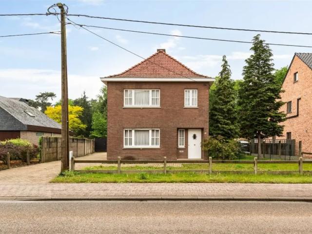 à vendre Maison Olmen Veldstraat