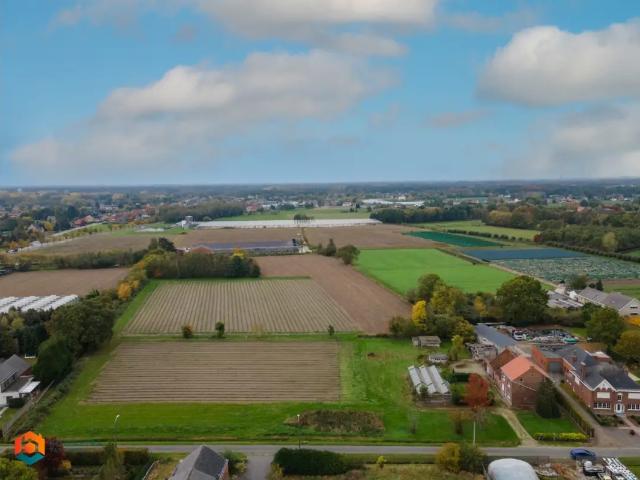 à vendre Maison Beerzel Kruisstraat