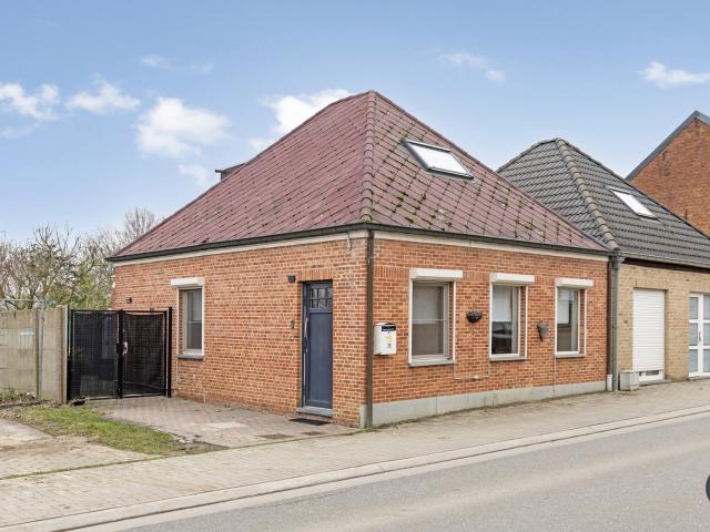 à vendre Maison Begijnendijk Gelroodsesteenweg