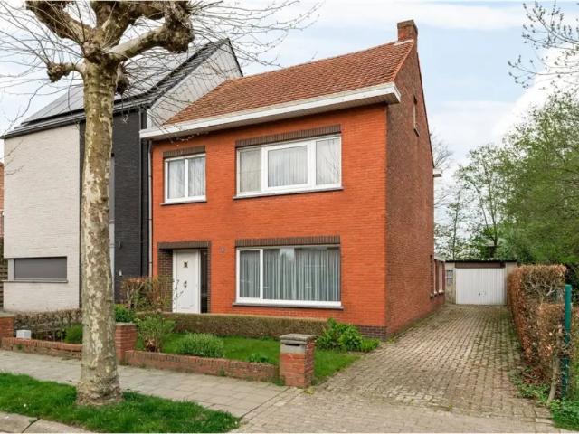 à vendre Maison Brecht Bristerstraat