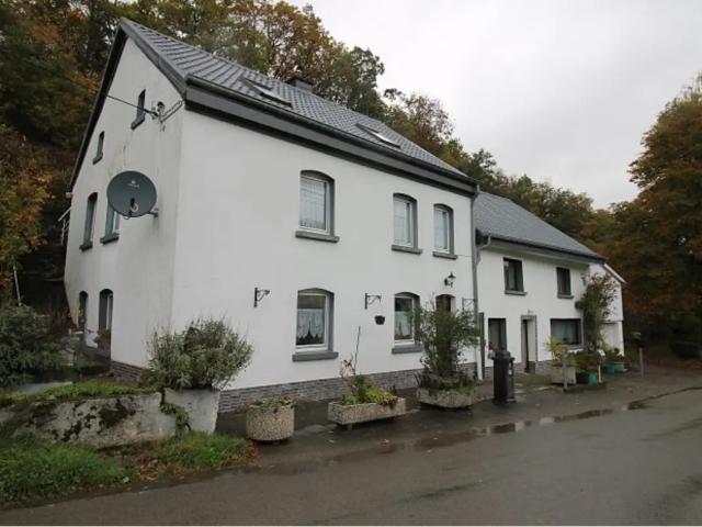 à vendre Maison Burg Reuland Ourtalstraße