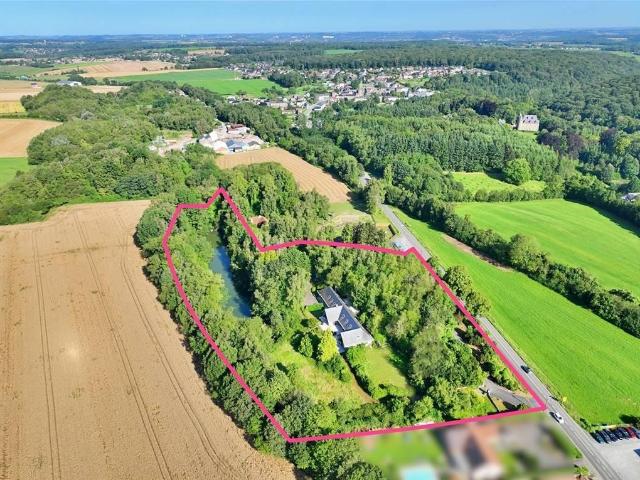 à vendre Maison Gougnies