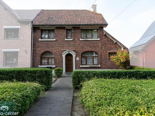 à vendre Maison Genk Steenbeukstraat