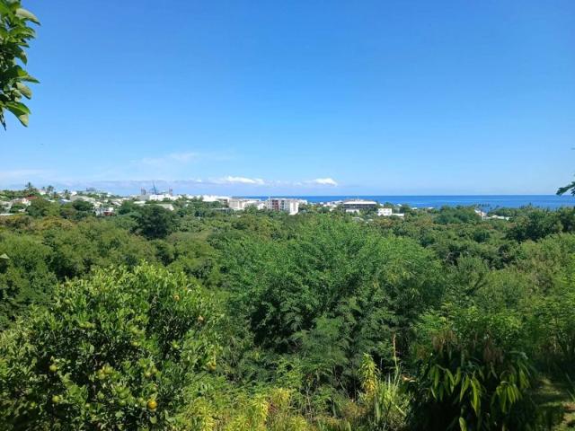 ? À Vendre – Maison d’Exception à La Possession Vue Mer & Montagne Panoramique – Piscine – Bungalow – Terrain Arboré & Constructible