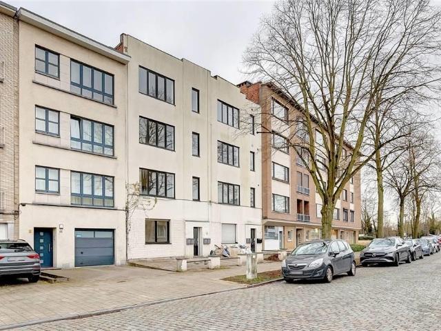 à vendre Maison de rapport Wilrijk Dennenlaan