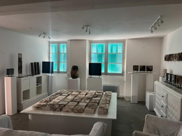 A vendre Maison de ville au coeur de BAGNERES DE BIGORRE avec un jardin