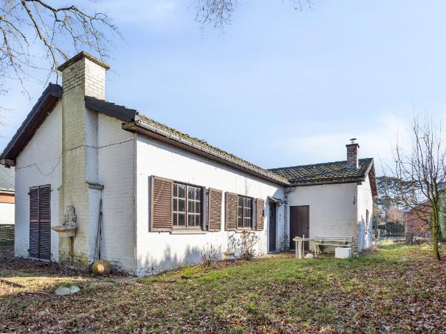 à vendre Maison Keerbergen Tulpenweg