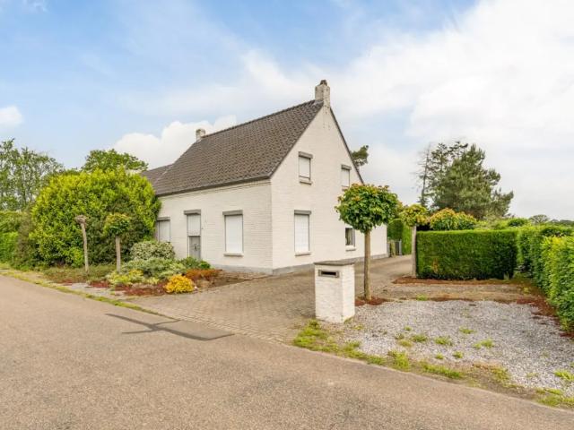 à vendre Maison Kinrooi Fosheistraat