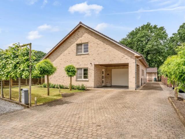 à vendre Maison Kinrooi Hogerstraat