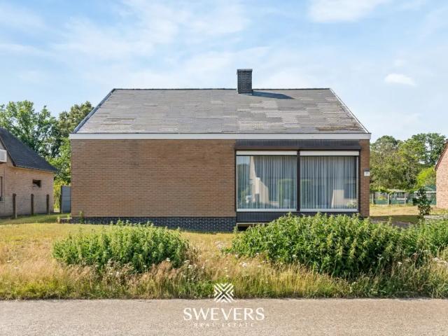 à vendre Maison Kuringen Schotelstraat