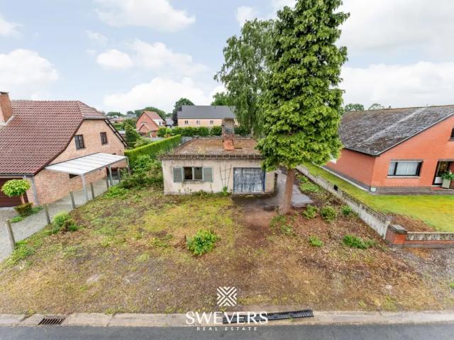à vendre Maison Houthalen Helchteren Cardijnstraat