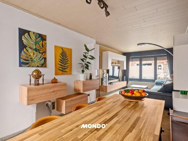 à vendre Maison Hoboken Dillesstraat