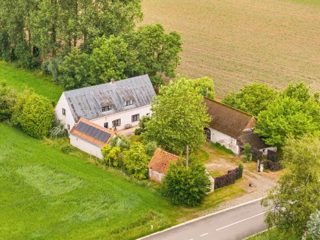 à vendre Maison Horebeke Stene