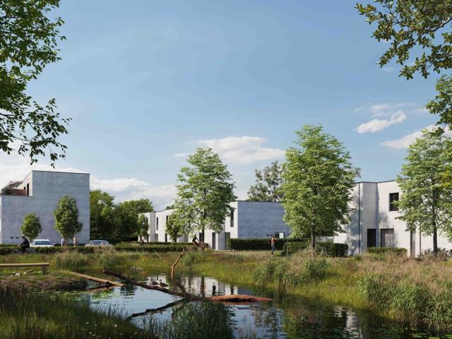 à vendre Maison Hasselt Ecowijk Wolske